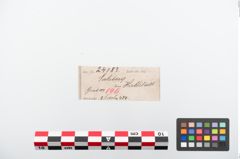 Etiketten zu Bronzebrillenfibel (NHMW-PRAE-024183)